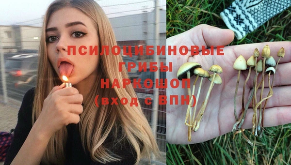mdpv Володарск
