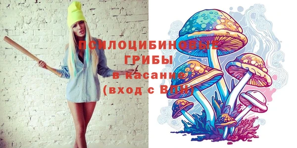 mdpv Володарск