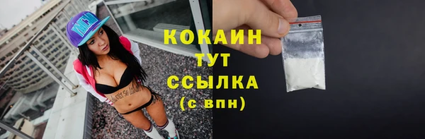 сатива Вязьма