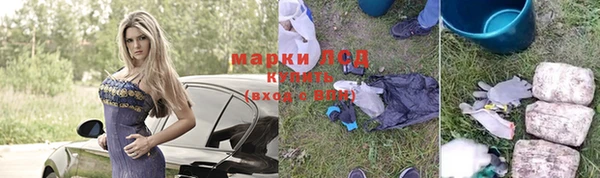 шишки Волоколамск