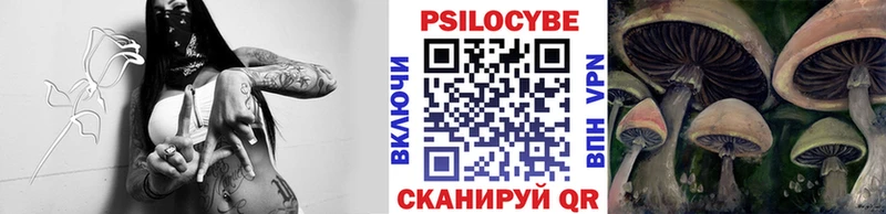 Псилоцибиновые грибы ЛСД  Купить  Куровское 
